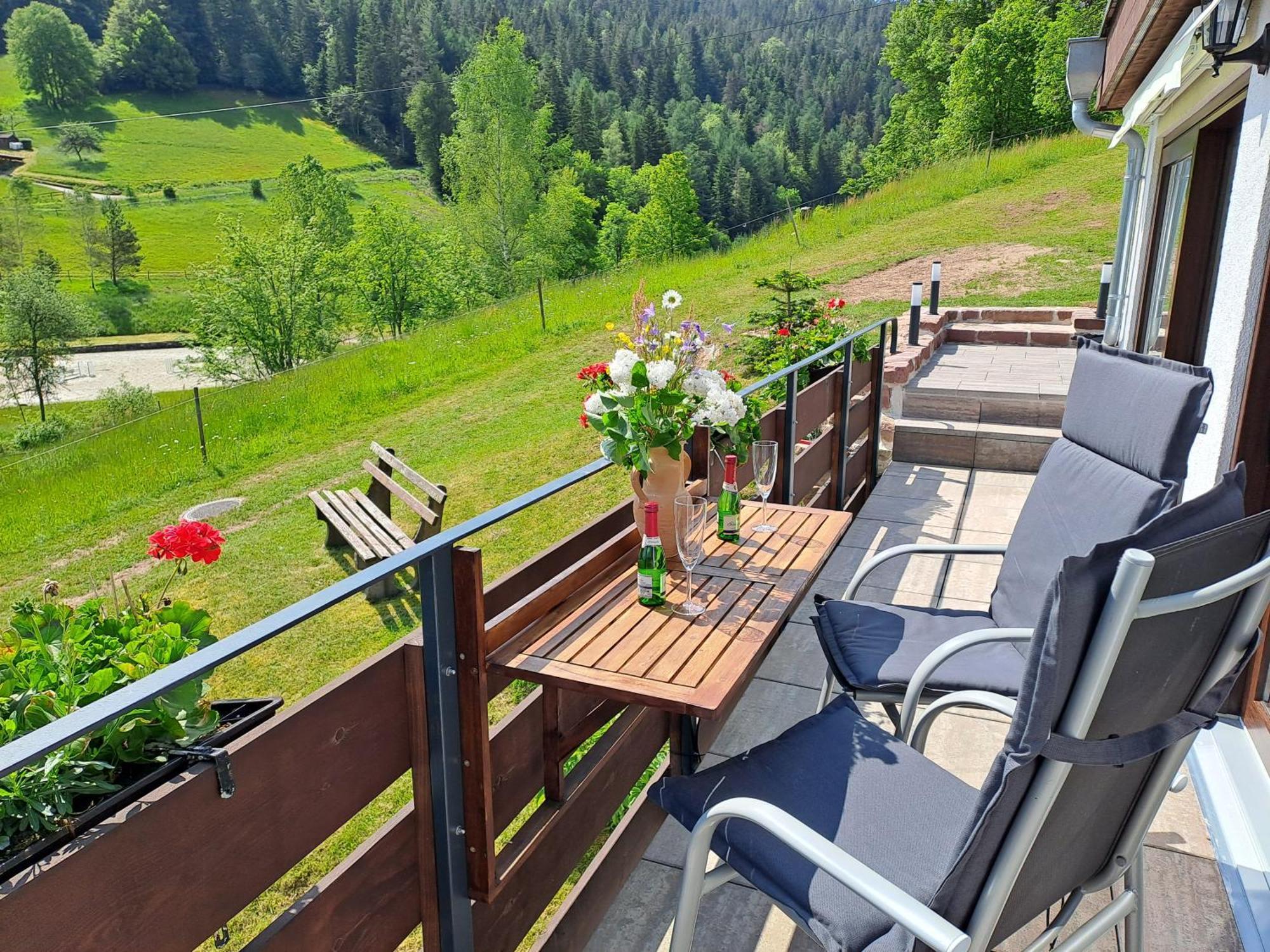 Ferienhaus Enzquelle 엔즈클로슈테르레 객실 사진